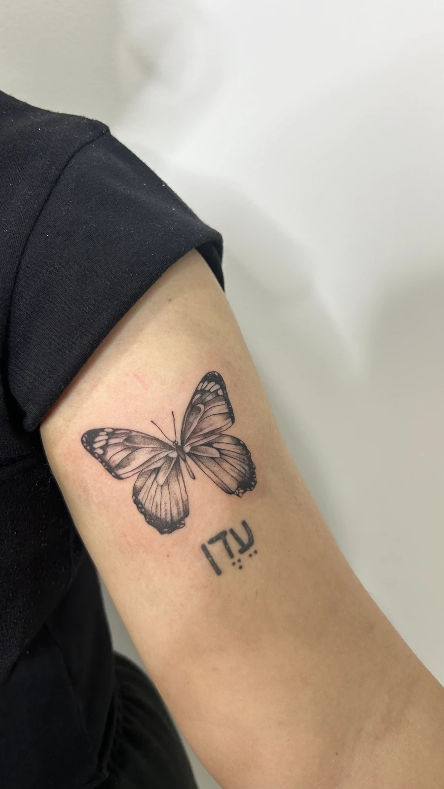 Tattoo kupu-kupu garis hitam di lengan · Meigu Tattoo