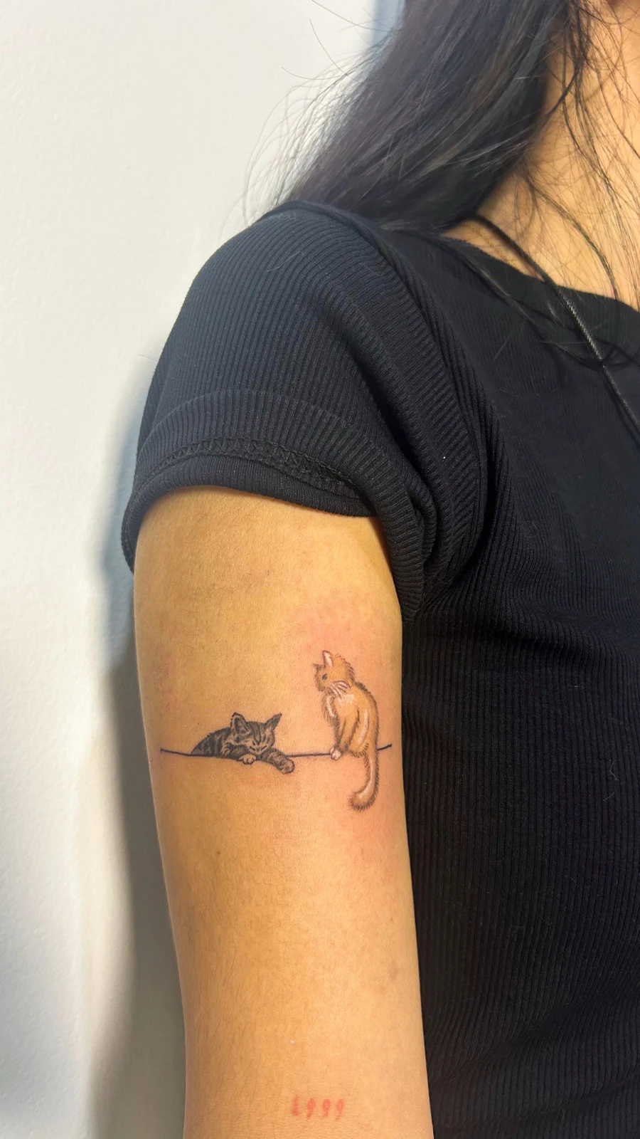 Tattoo dua kucing di lengan · Meigu Tattoo